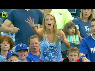 best and funniest moments of fans in sports