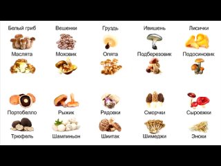 top 20 types of edible mushrooms