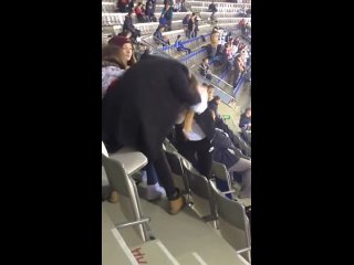 fight of little pussies at hockey