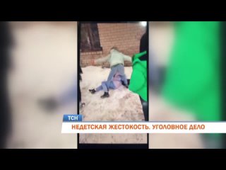 (18) a criminal case was opened in the perm region after the beating of a schoolgirl {2022}
