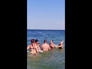 (18) fight on odessa beach between supporters of zelensky and poroshenko