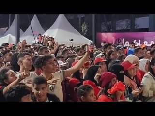 completely crazy morocco fan reactions to win against spain after penalty shootout at the world cup