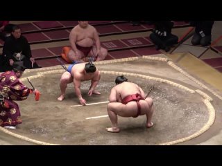2021 sumo highlights: relive the best bouts stories 2021