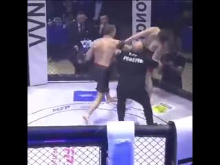 during an mma competition in vladivostok, one of the fighters was knocked out, but he remained standing.