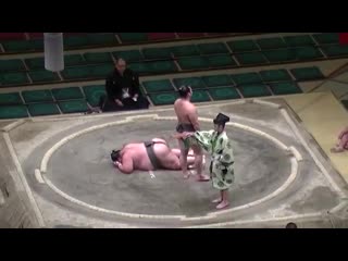 and sumo can be merciless {05/3/2019}